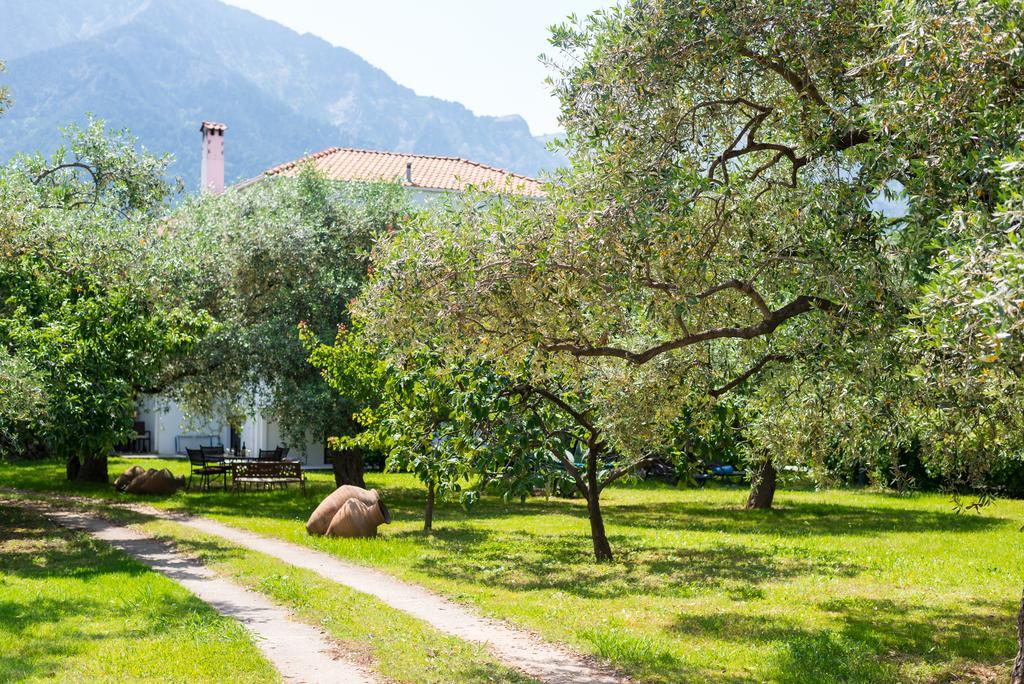 Apartmán Anastasia Skala Potamia (Thasos)